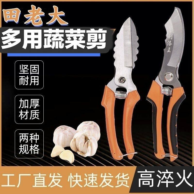 田老大专用剪刀圆葱大蒜麦冬蘑菇剪胡蒜须蔬菜修剪神器