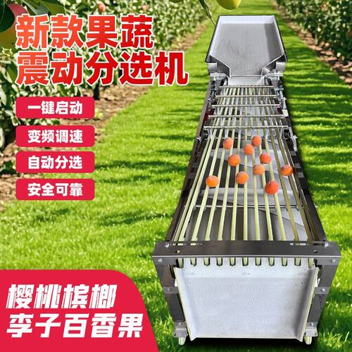 商用全自动智能水果分选机槟榔分选机李子酸梅果圣女选果机百香果