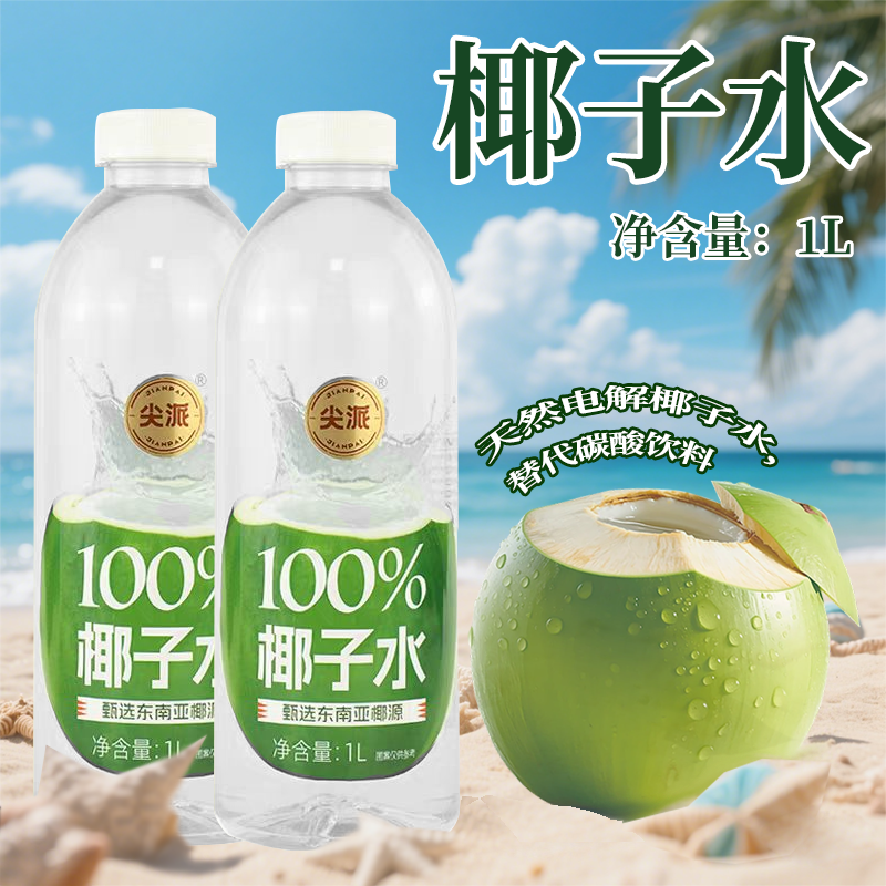 尖派100%纯椰子水电解质