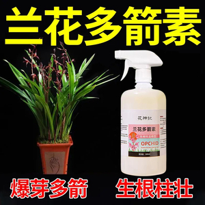 兰花专用免稀释营养液多箭素催花剂促花催箭爆根剂兰科开花
