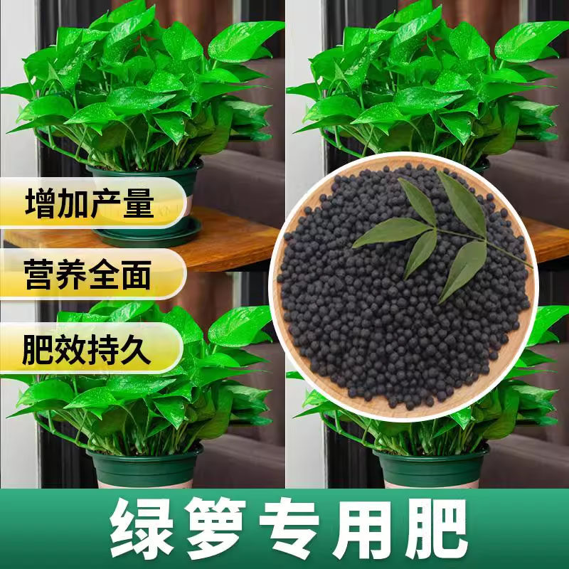 绿萝专用肥颗粒缓释型增根壮苗