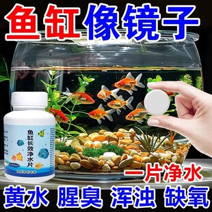 鱼缸净水片澈净化水质除臭去腥水族箱鱼池清水养鱼净水剂增氧换水