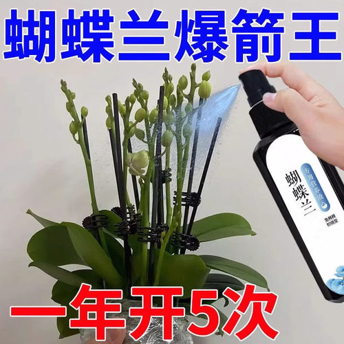 蝴蝶兰爆箭王植物营养液促花剑开花防黄叶兰花专用肥通用有机肥