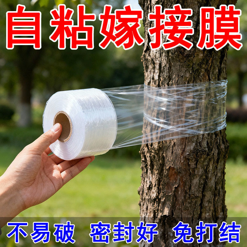 果树嫁接PE自粘免拆缠绕膜