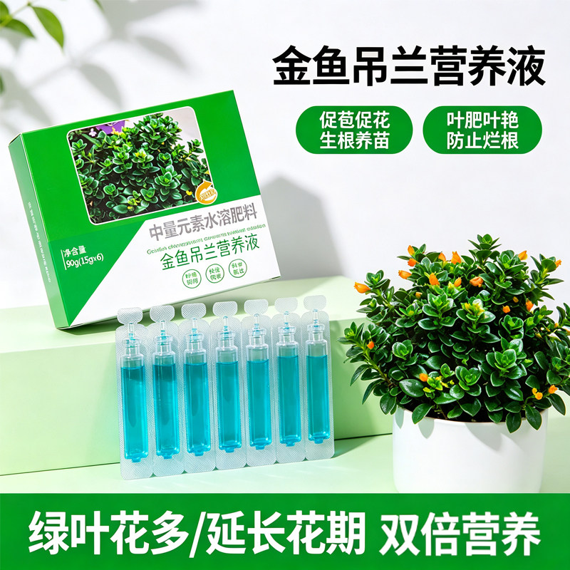 金鱼花吊兰盆栽四季营养液