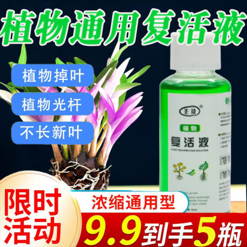 大树成活营养液死树复活生根剂壮苗再生果树枯树移栽苗神器复活液-封面