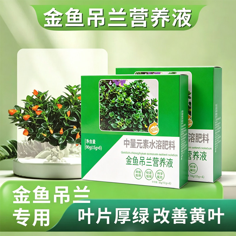金鱼吊兰营养液花防黄叶生根