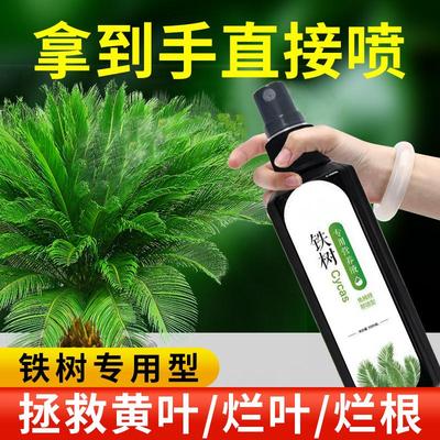 铁树专用肥料营养液绿植苏铁叶子发黄一喷绿室内户外通用型生根液