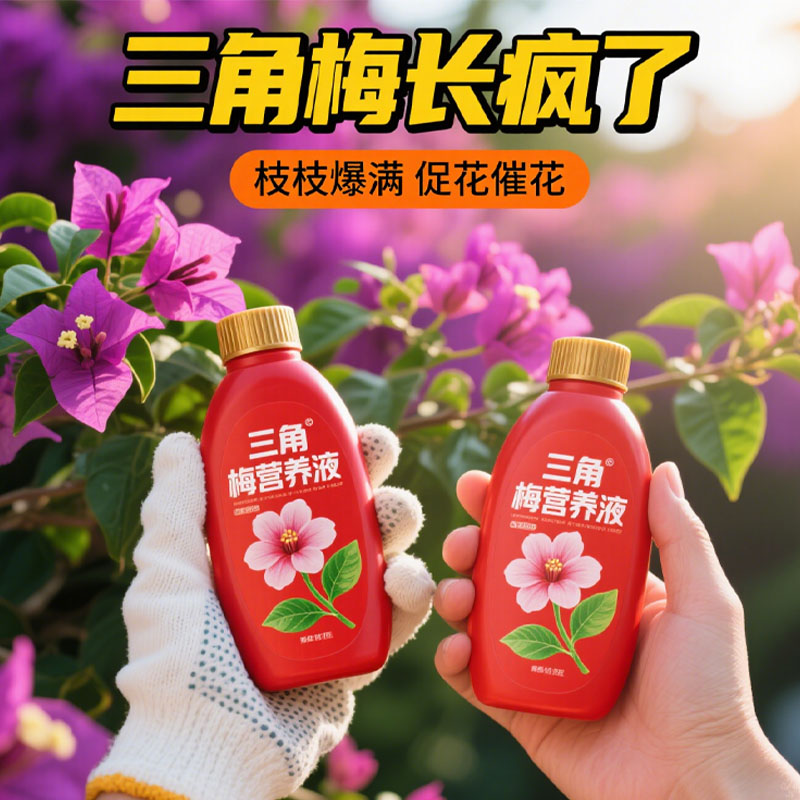 三角梅营养液专用催花养花通用型