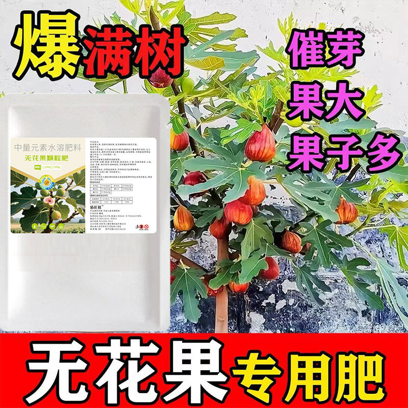 无花果专用肥料花肥开花生根
