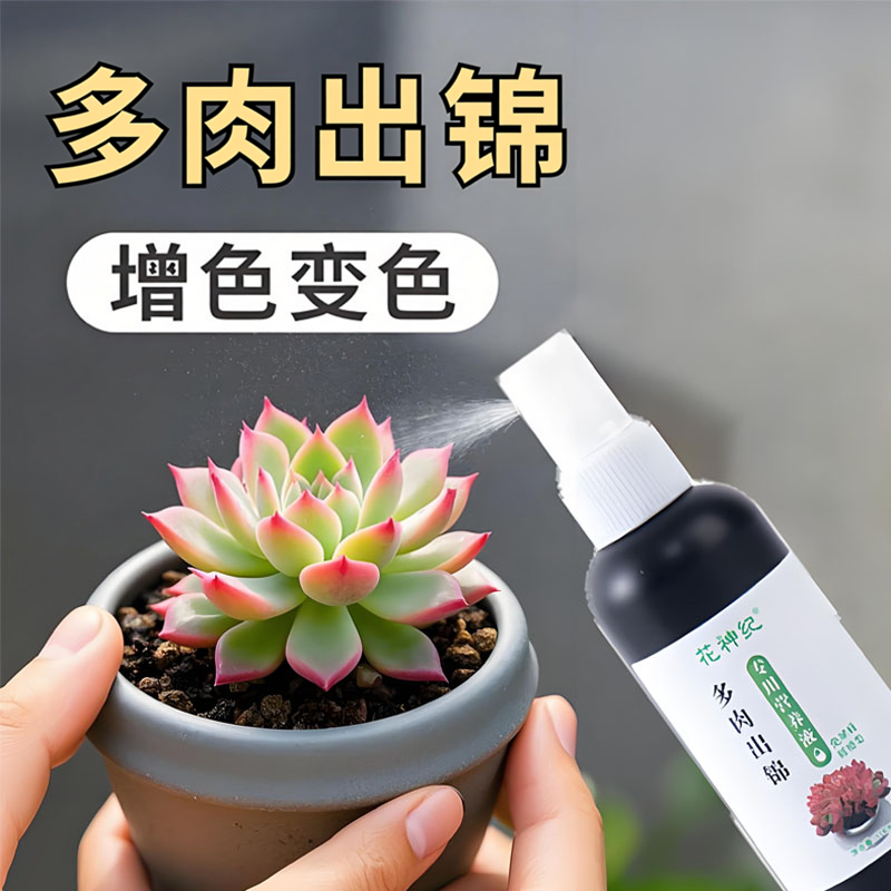 多肉出锦药水变红增色剂
