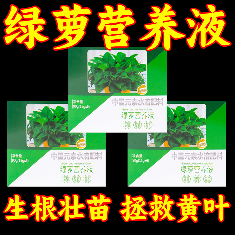 绿萝专用营养液防黄叶