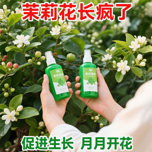 茉莉花催芽催花营养液