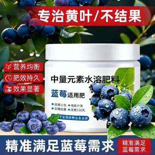 蓝莓专用肥缓释肥蓝莓树果苗盆栽专用土颗粒肥料酸性硫酸钾复合肥