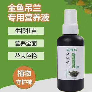 【生根厚叶】金鱼吊兰专用营养液催开花促花苞专治不开花壮苗植物
