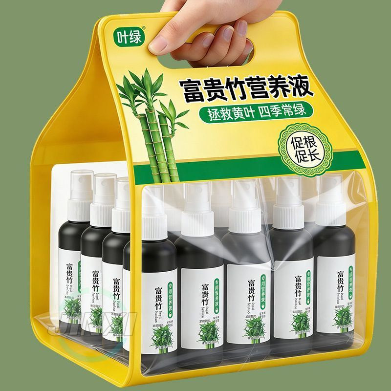 富贵竹专用营养液黄叶生根转运