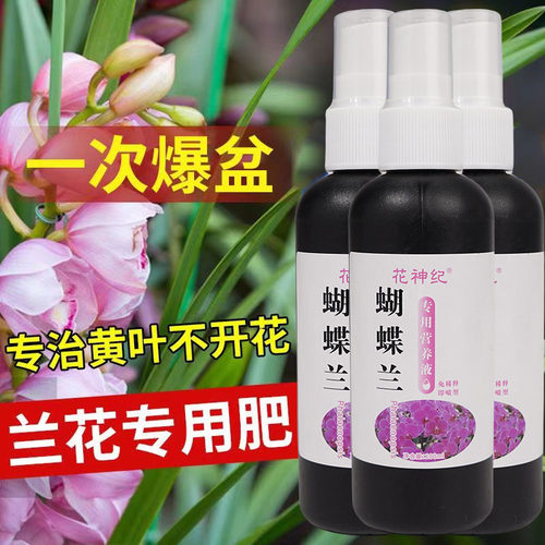 蝴蝶兰免稀释肥兰花营养液