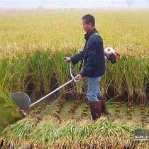 割稻机农用收割麦类收稻小型家y用割草割禾机割稻谷神器收割机水