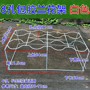 兰花架子兰草盆架 落地式 4孔8孔兰花专用花架 塑料兰Z花盆架花架
