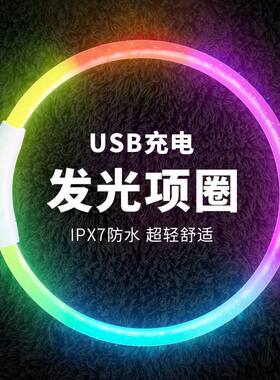 充电式超轻带灯狗狗发光脖圈大中小型犬夜间遛弯防走失夜光项圈