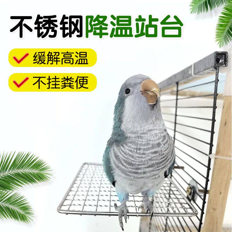 不锈钢鹦鹉站网鸟笼攀爬网片休息站台鸟笼配件用品