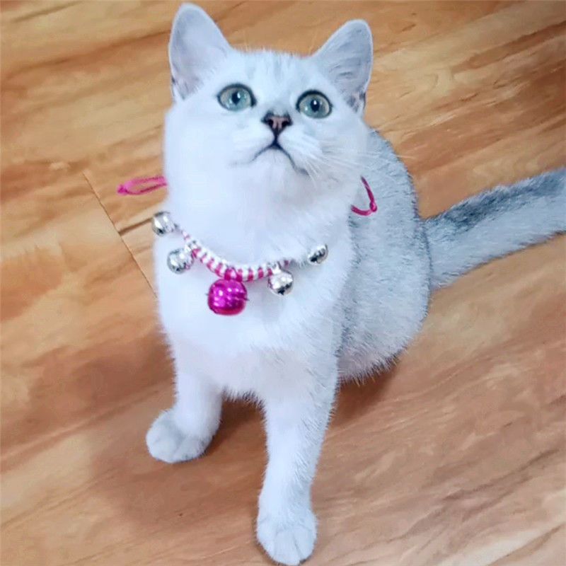 宠物脖子饰品小型犬铃铛颈圈幼猫狗狗猫咪项圈