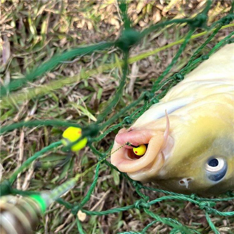 钓鱼珠珠鲤鱼花点珠珠四川钓法玉米浮球水库欧式鱼饵库钓泡沫