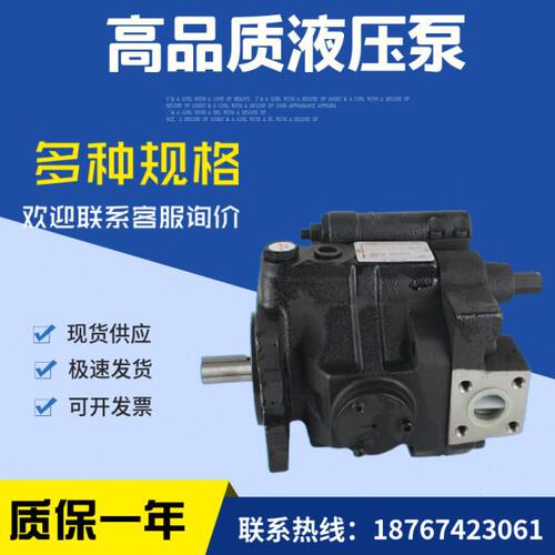 15量X15RVA4 变 10R塞V  泵A3柱铸铁台湾X电动 10油泵