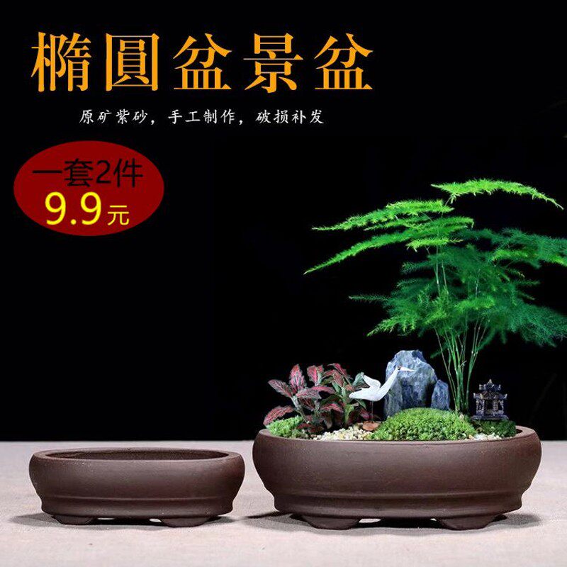 紫砂简约桌面地面新款花盆大号小马槽长方形多肉六方四方阳台菖蒲