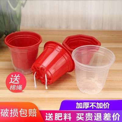 绿箩花盆可储水专用塑料自动吸水栽种装养花绿萝的双层懒人透明