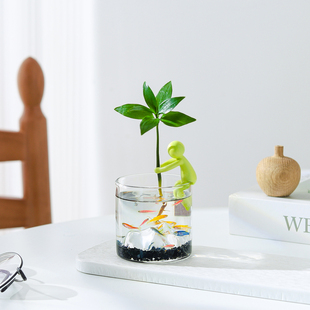 水培竹柏植物室内客厅办公室桌面工位绿植花卉盆栽好养活四季常青