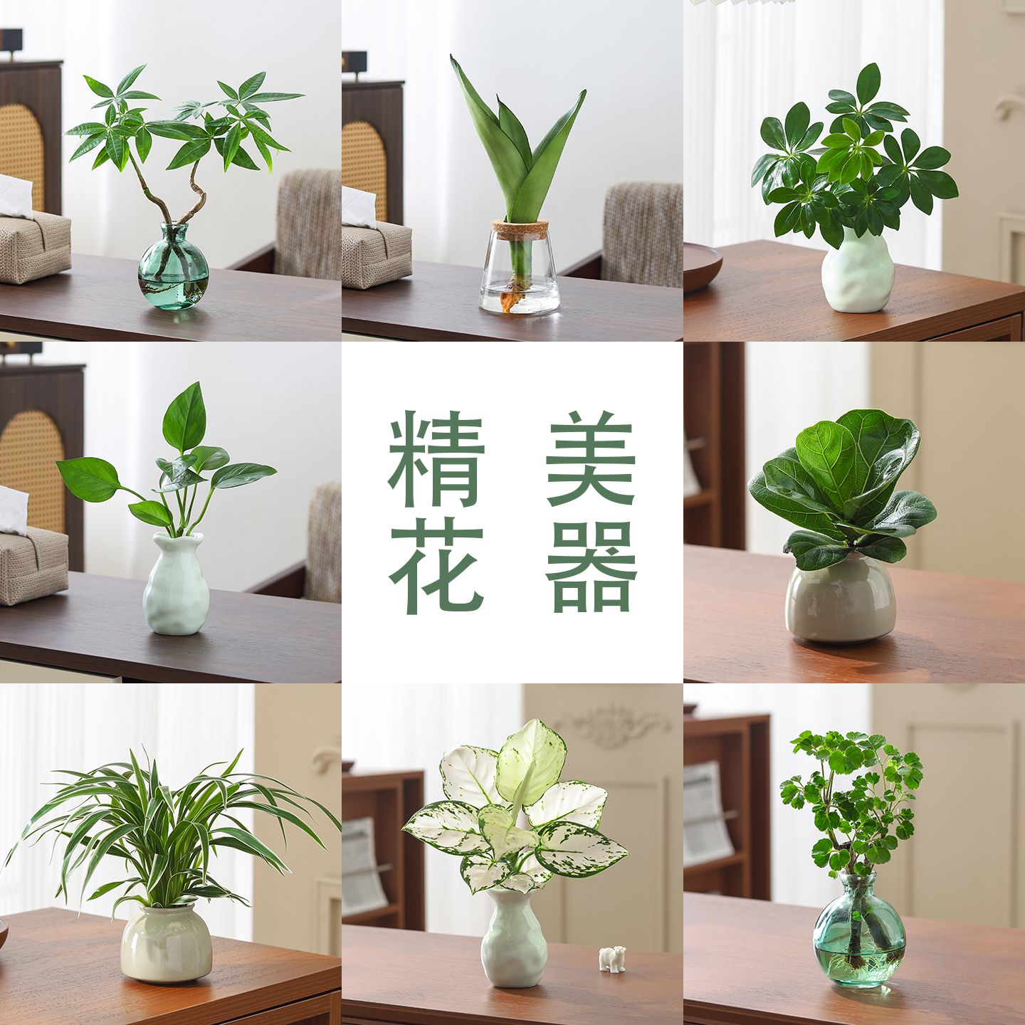 创意水培植物花瓶容器客厅办公室内工位桌面玻璃陶瓷器皿花盆摆件