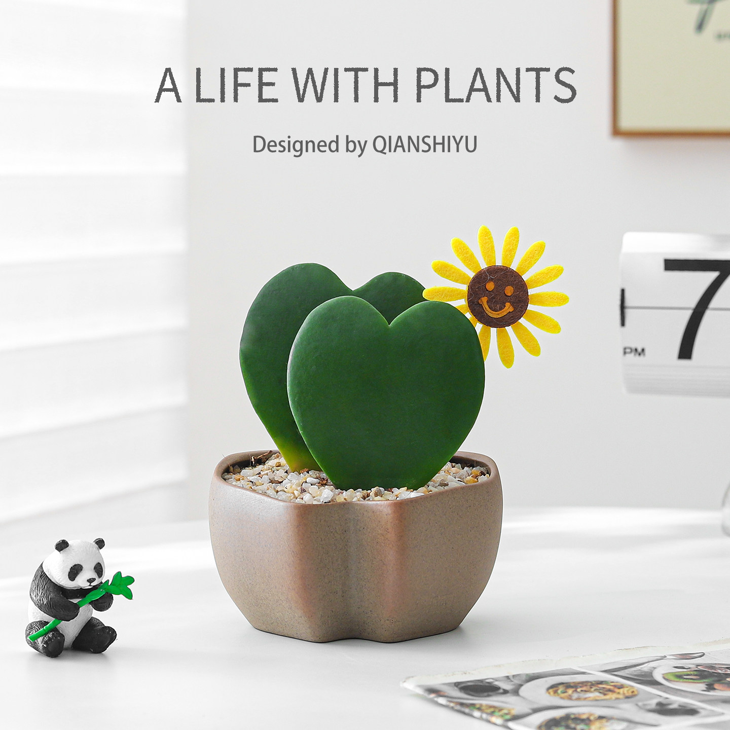 心叶球兰盆栽一片心爱心多肉绿植物耐阴室内情侣创意生日礼物花卉