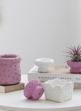 创意土培植物花瓶容器客厅办公室内工位桌面玻璃陶瓷器皿花盆摆件