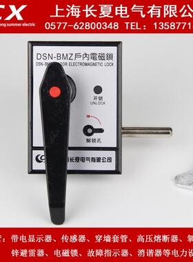 户内高压电磁锁DSN-BMZ BMY/AMZ(Y) I/Y(Z) DMY(Z)手柄式开关柜门
