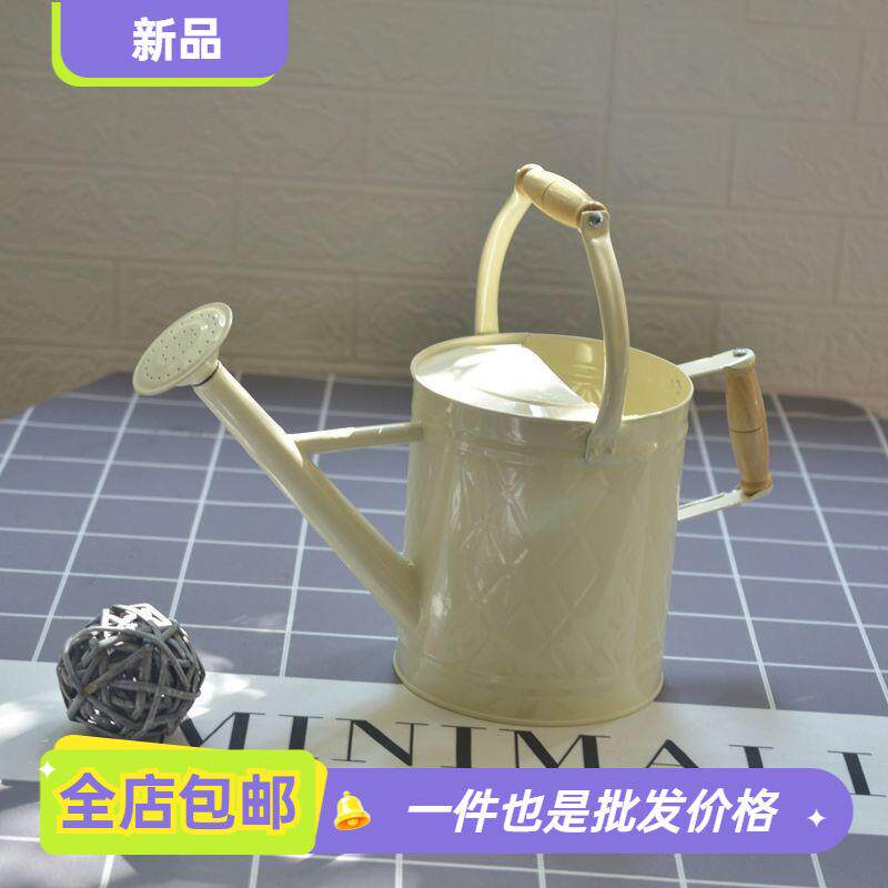 出口欧美两用铁洒水壶浇花家用种菜养花大号浇花壶大容量园艺喷壶