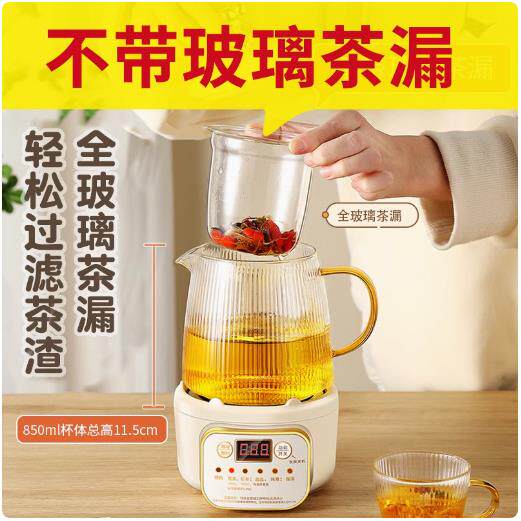 迷你养生壶家用多功能办公室小型一人煮茶壶煮茶器2024新款烧水壶