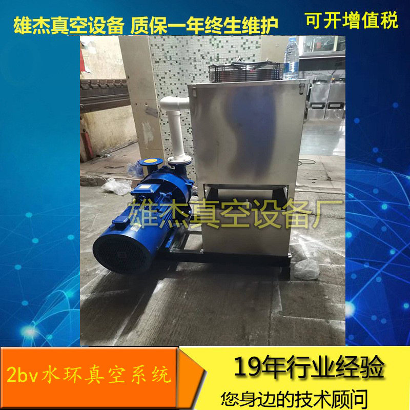 2BV5161水循环真空泵高真空铸铁