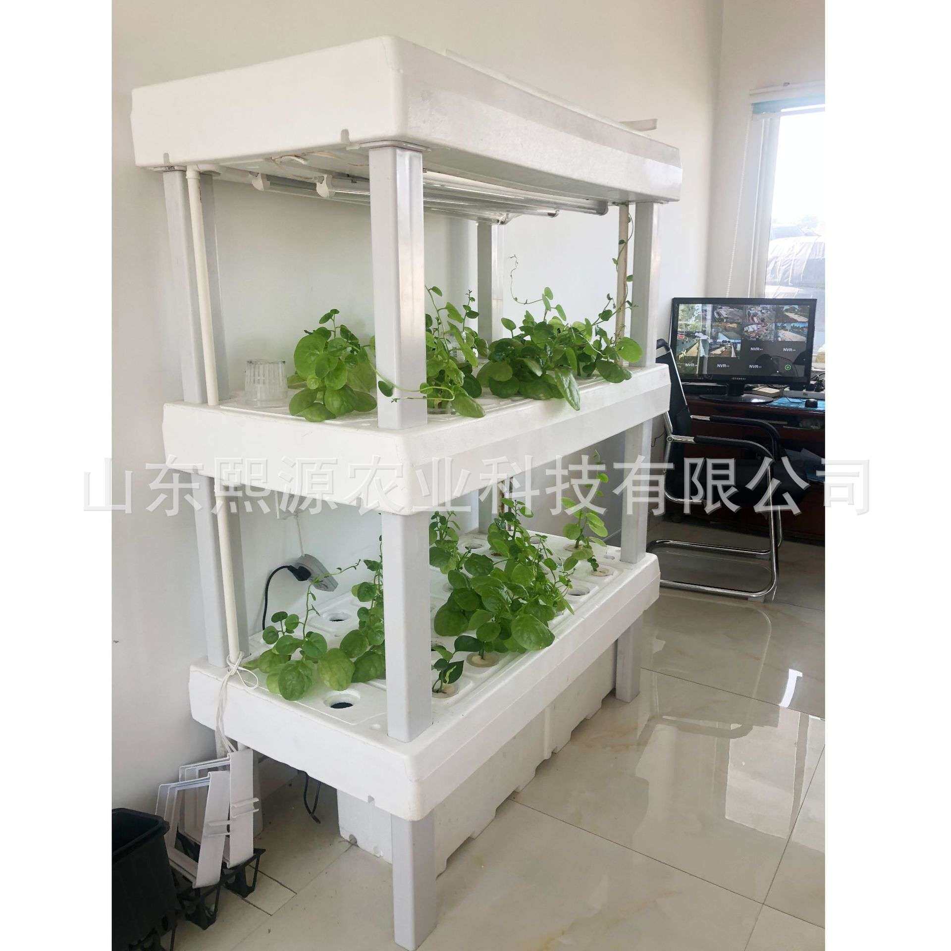 无土栽培植物工厂补光灯种植 水培蔬菜 立体种植机 水种植蔬菜