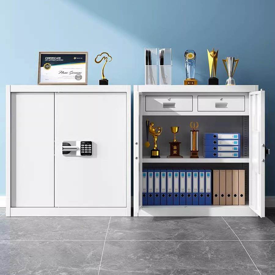 钢制密码柜指纹保密柜办公室资料保险柜电子国保锁简易档案文件柜