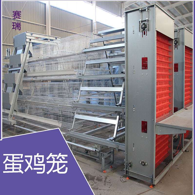 鸡笼养殖户鸡舍鸡厂阶梯蛋鸡笼 大鸡笼养殖笼养鸡笼
