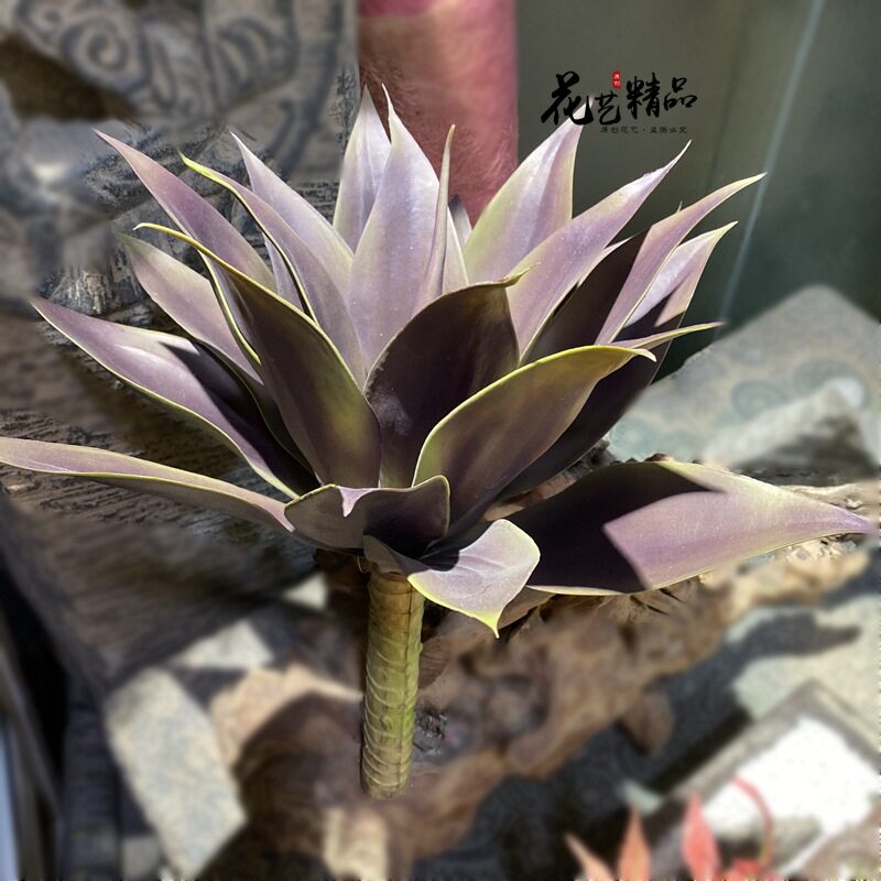 芦荟龙舌兰仿真多肉造景假花