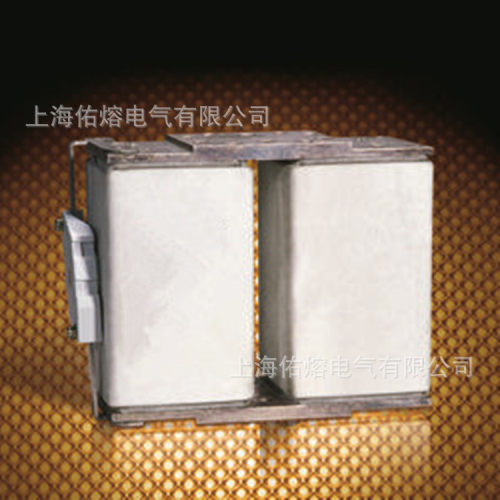 P型双体快速熔断器ATM2000V