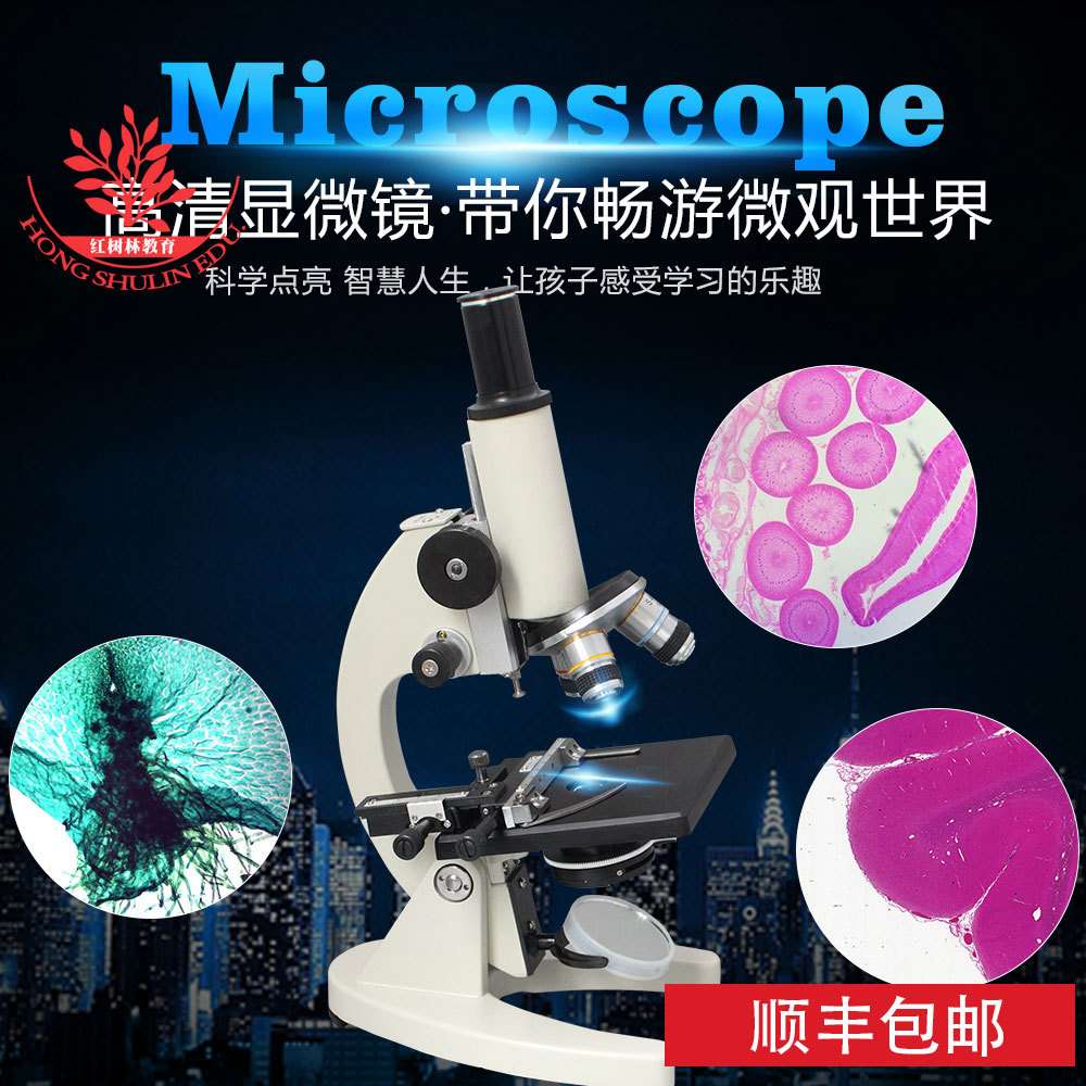 640倍显微镜中小学生科普实验生物高清套装初中科学实验XSP-02-06