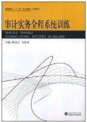 高职高专“十一五”规划教材·财会系列：审计实务全程系统训练,