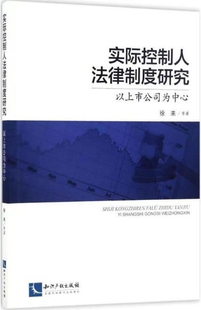 实际控制人法律制度研究 知识产权出版 社 徐来著