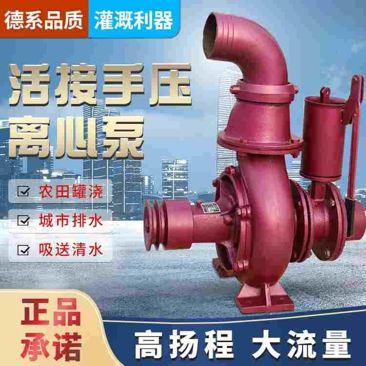 双叶轮离心泵手压拖泵抽水器农用抽水机农田灌溉高扬程大流量水泵,玩具/童车/益智/积木/模型,其它玩具,淘宝优惠券,粉丝福利购,淘宝优惠卷