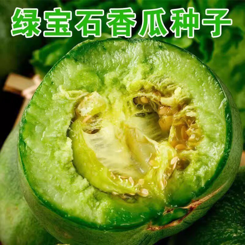【超甜】绿宝石甜瓜种子超甜薄皮香瓜冰糖春季脆瓜香瓜籽H290