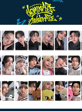STRAY KIDS世巡dominATE celebrATE特典小卡 Incheon STAYzone