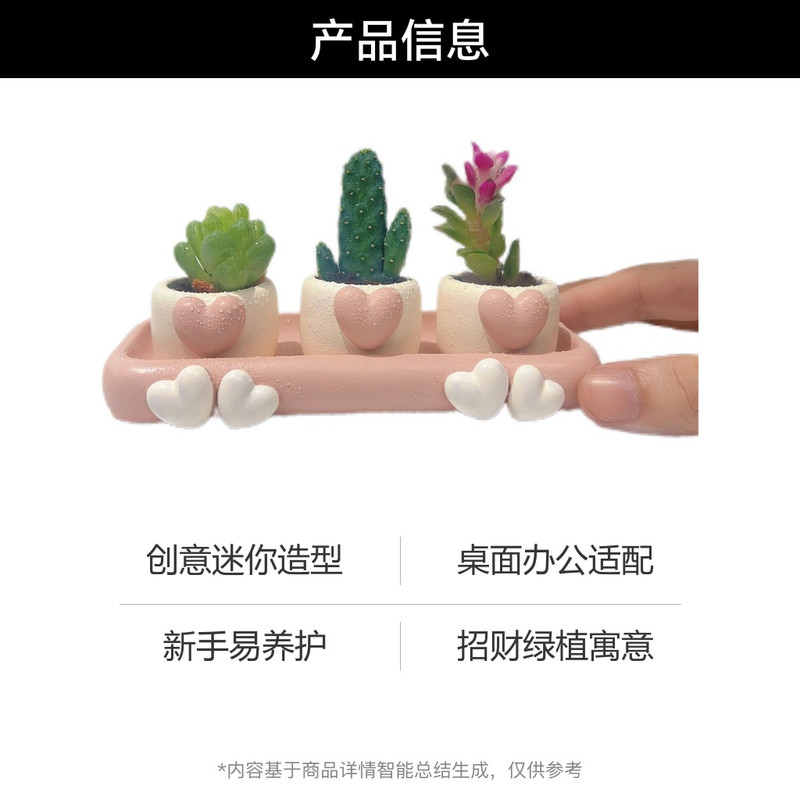 办公室桌面创意多肉拇指小花盆桌绿植新手好养活